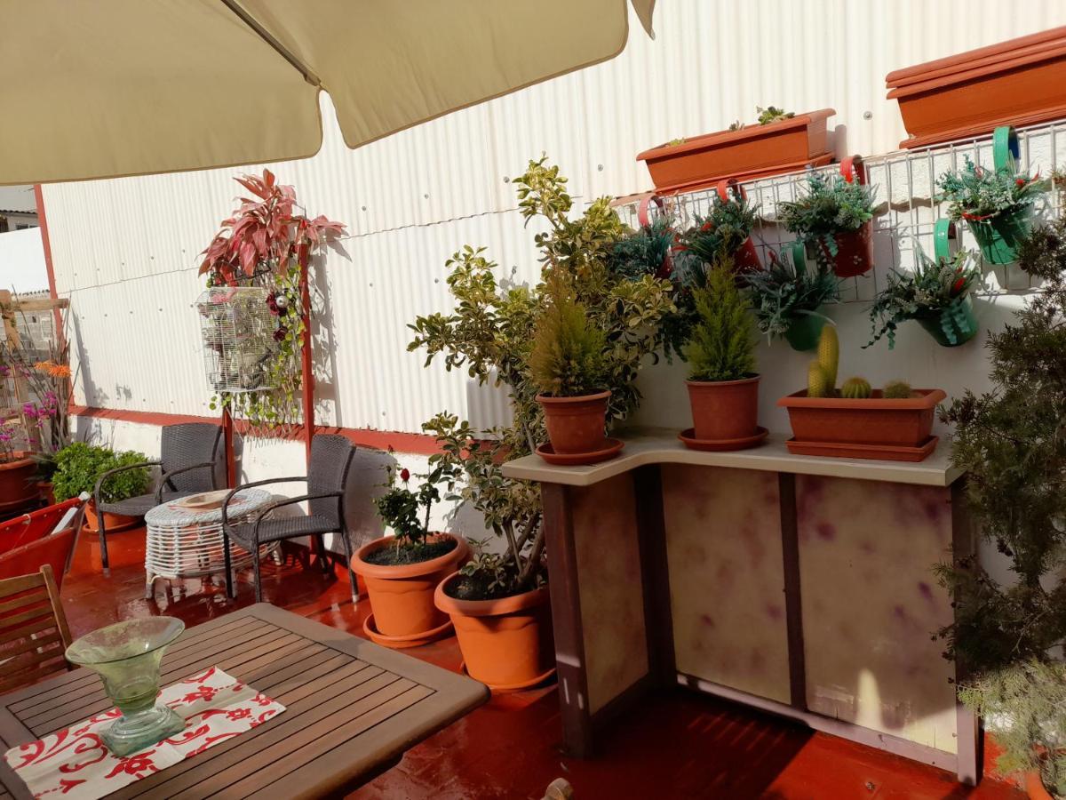 VinarósLa Terraza公寓 外观 照片
